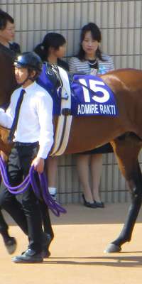 Admire Rakti, Japanese Thoroughbred racehorse, dies at age 6